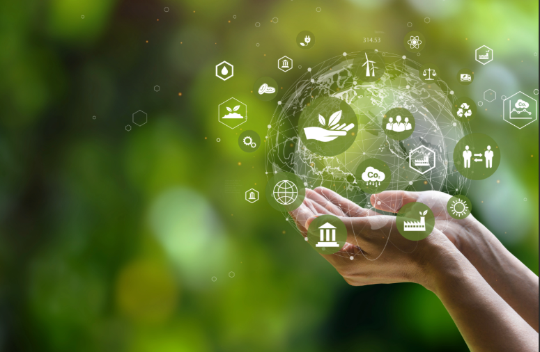 Transition écologique : stratégie, pratiques & pilotage